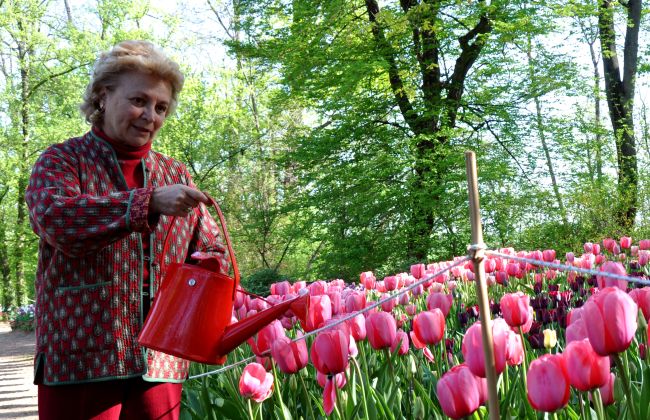 L'iconica borsetta-inaffiatoio di Messer Tulipano