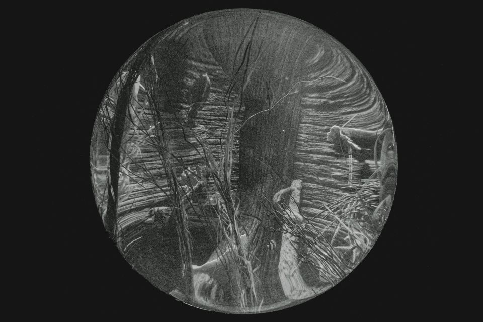 Planet 711 - 5 - Riccardo Falbo