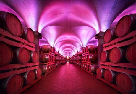 Buono Omaggio Distillerie Berta