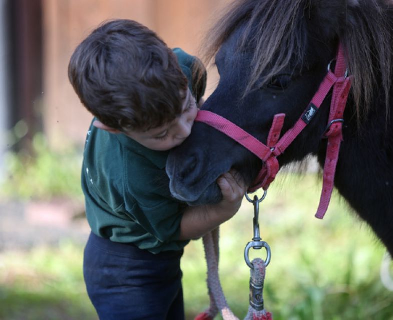 Un Pony per amico