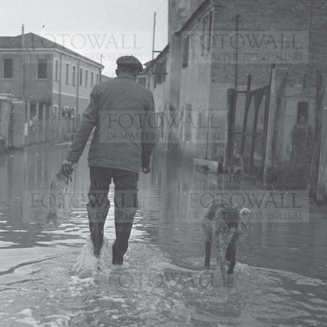 Alluvionati