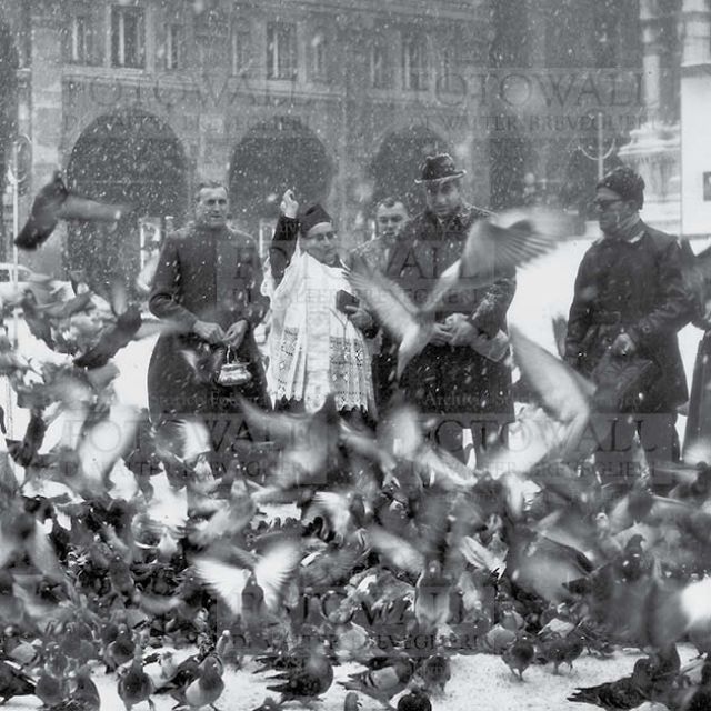 Benedizione dei piccioni in Piazza Maggiore